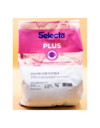 Saborizante Pó Selecta Plus Abacaxi c/ Hortelã 1kg - 2 Rodas