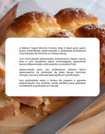 Mistura Tegral Brioche Puratos 10Kg